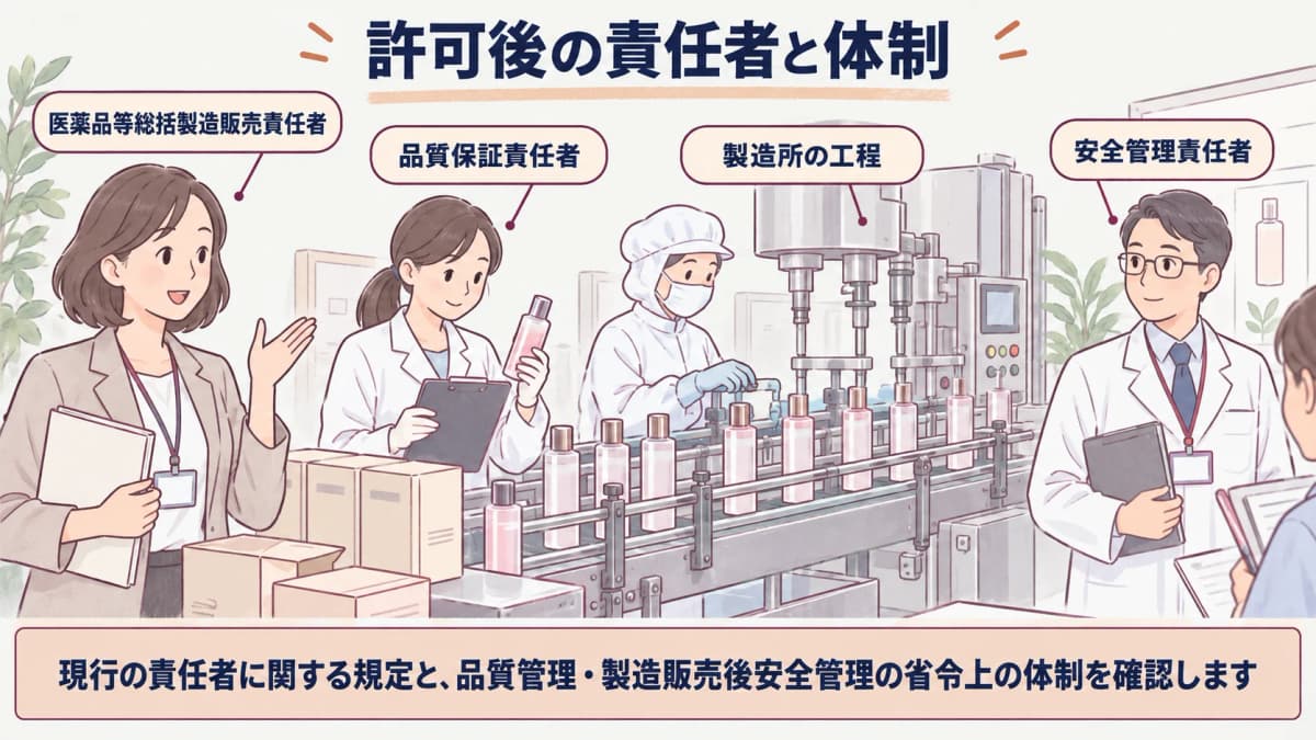 責任者と品質保証安全管理の役割を分ける体制確認図